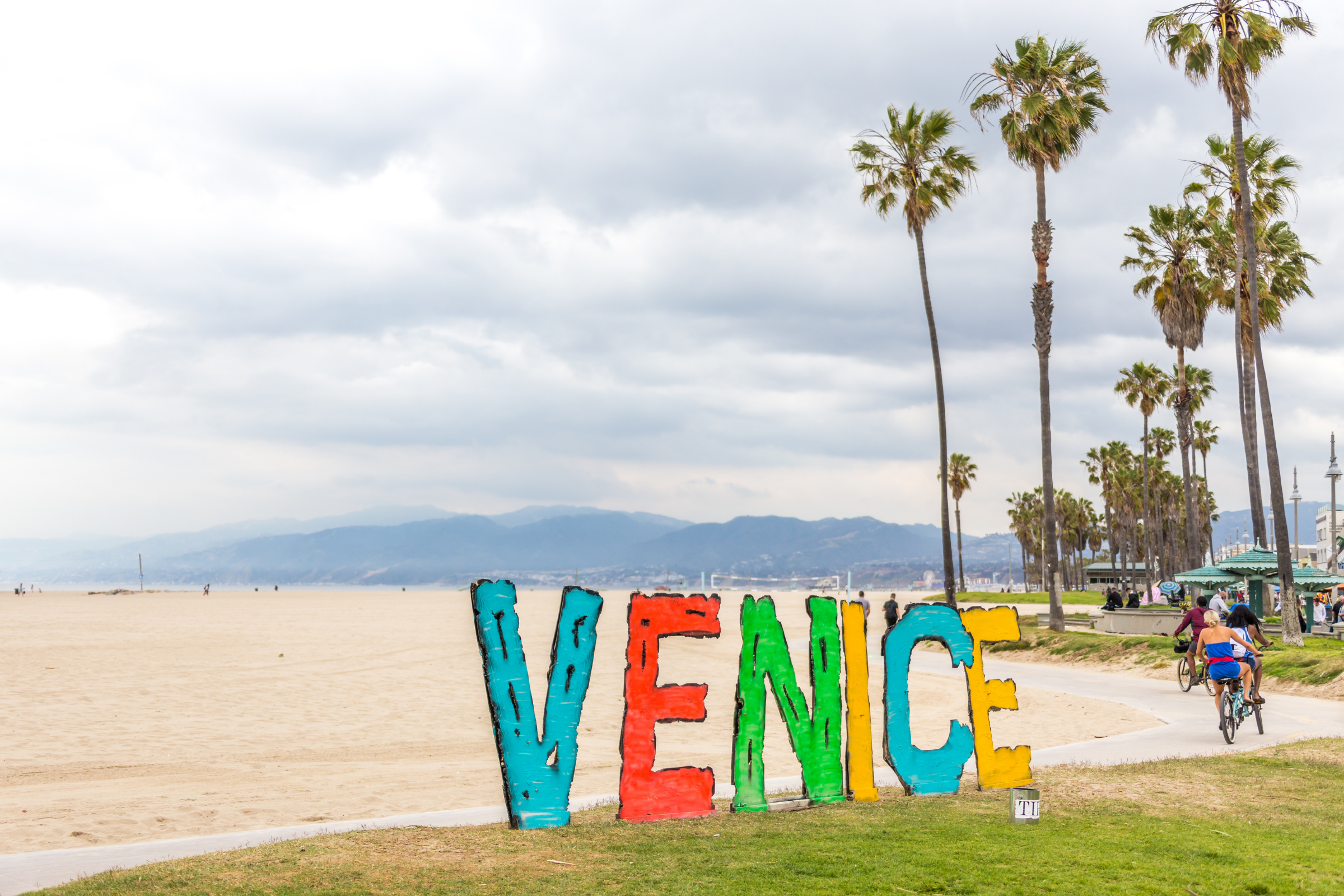 venice, california (4).webp